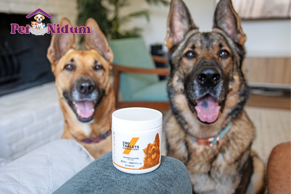 Imagem Destacada - VIII